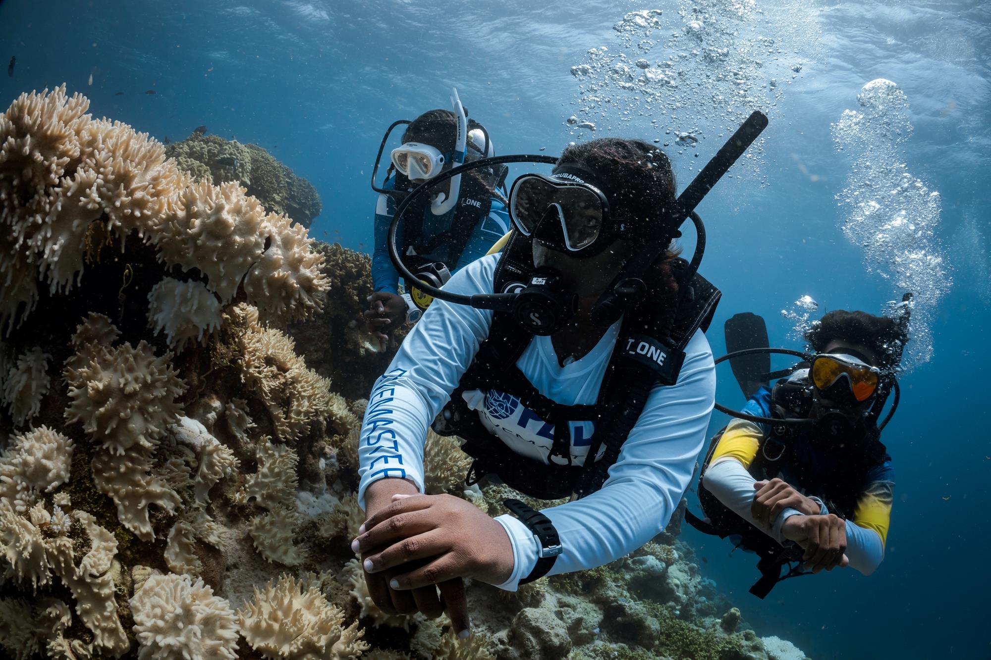 PADI Professional Diver eLearning Program
